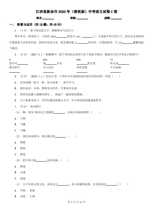 江西省新余市2020年(春秋版)中考语文试卷C卷