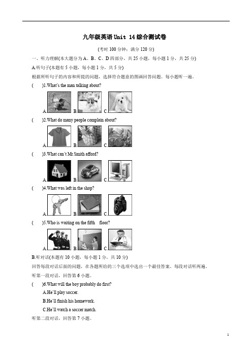 【人教新目标】九年级英语Unit 14综合测试卷附参考答案