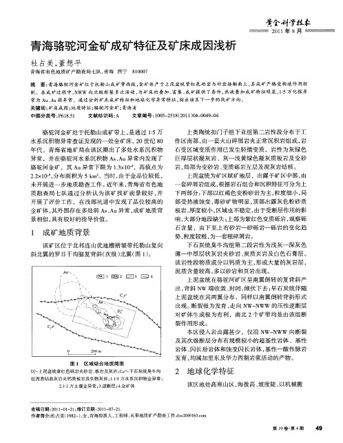 青海骆驼河金矿成矿特征及矿床成因浅析