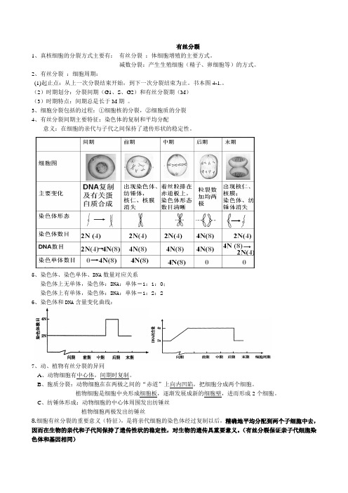 有丝分裂减数分裂 知识点