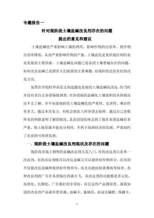 针对现阶段土壤盐碱改良剂存在的问题提出的意见和建议