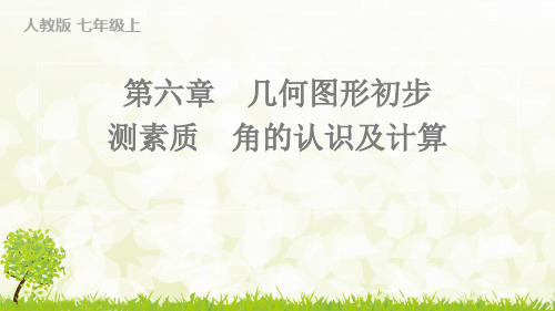 人教版2024-2025学年七年级数学上册测素质 角的认识及计算(习题课件)