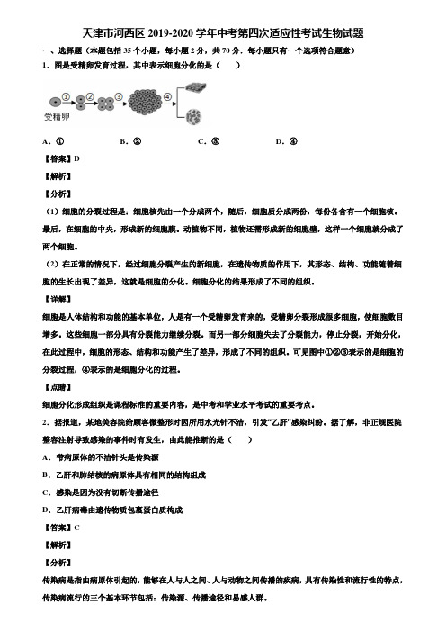 天津市河西区2019-2020学年中考第四次适应性考试生物试题含解析