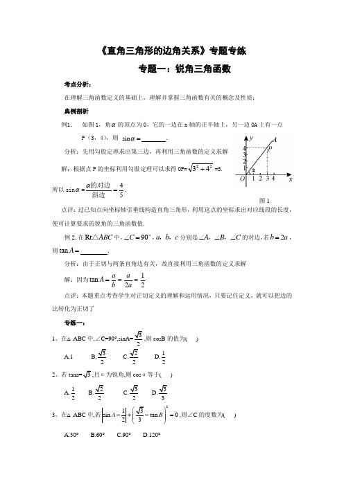 中考数学复习指导：《直角三角形的边角关系》专题专练及答案