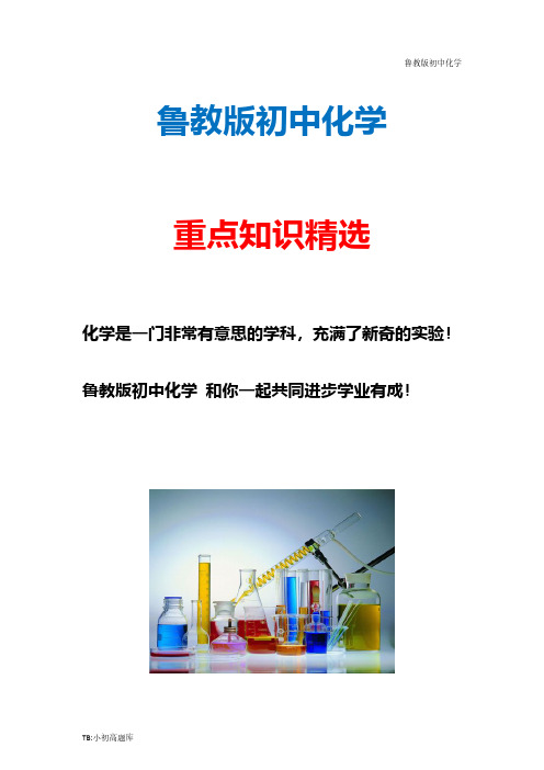 新版鲁教版初中化学九年级上册4.2 物质组成的表示(第1课时)复习