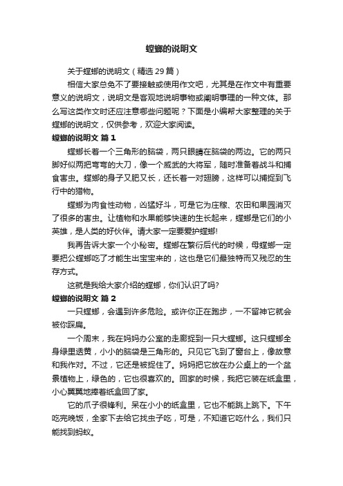 关于螳螂的说明文（精选29篇）