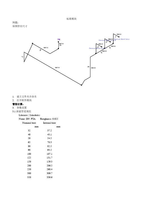 PIPENET培训实例 标准模块--化工管道系统