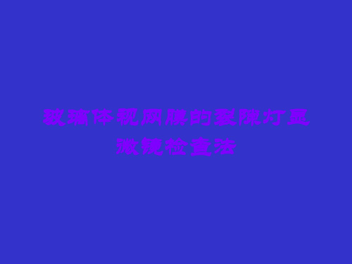 玻璃体视网膜的裂隙灯显微镜检查法