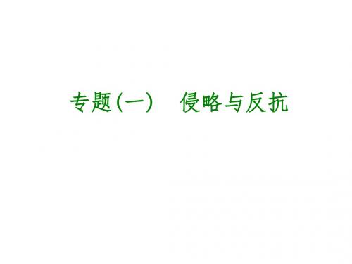 全国通用中考历史专题复习课件：专题(1)  侵略与反抗(15张PPT)