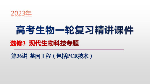 第36讲 基因工程(包括PCR技术)-【2023大一轮】备战2023年高考生物一轮复习精讲课件