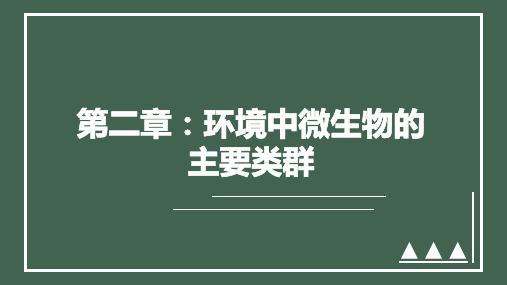 环境微生物的主要类群