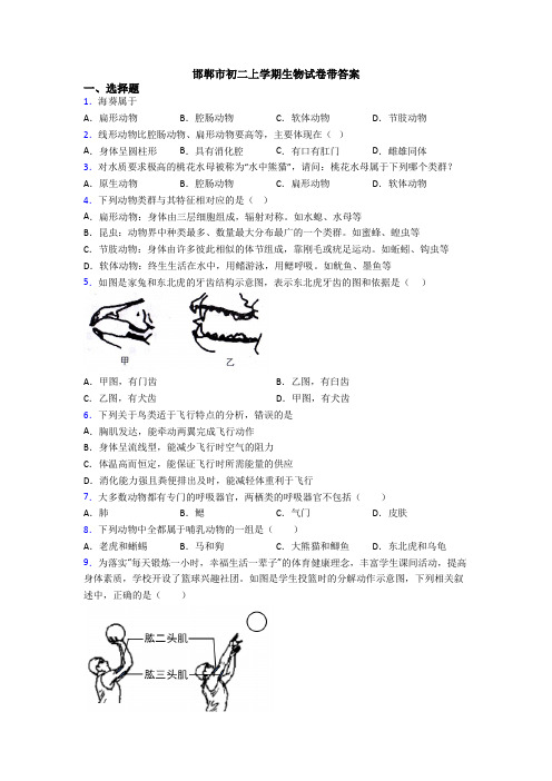 邯郸市初二上学期生物试卷带答案