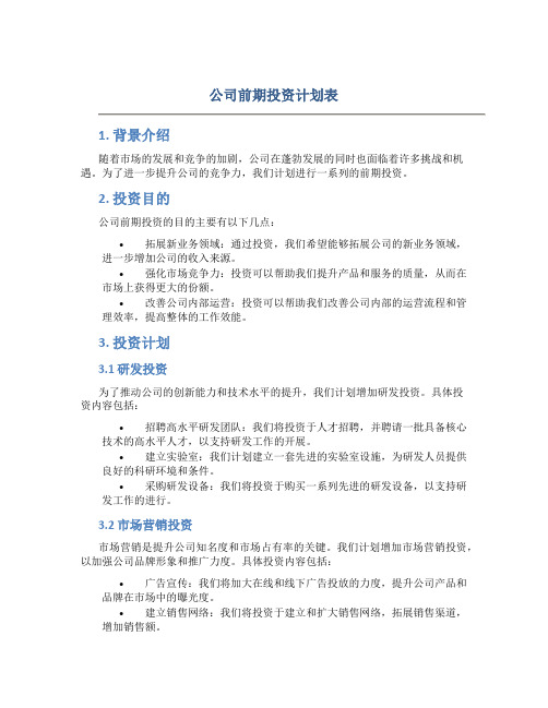 公司前期投资计划表