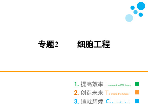 人教版选修三 专题2 2.1 2.1.1 植物细胞工程的基本技术 课件(68张)