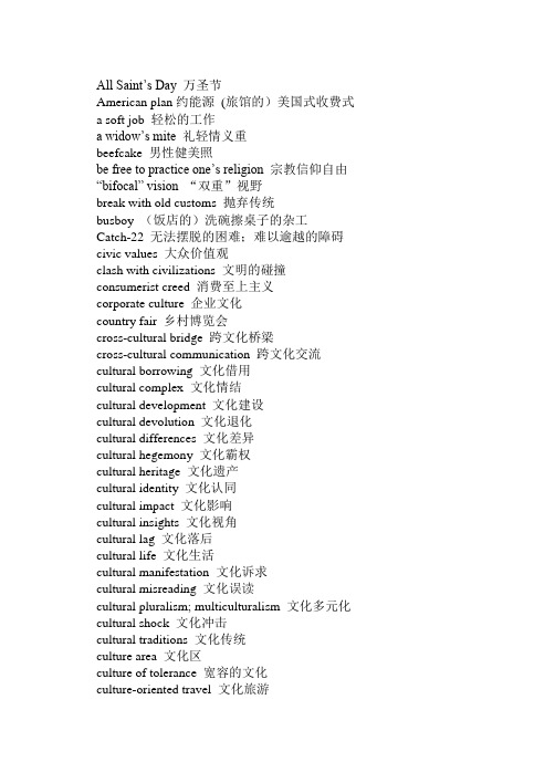 MTI英语笔译常用词句-文化