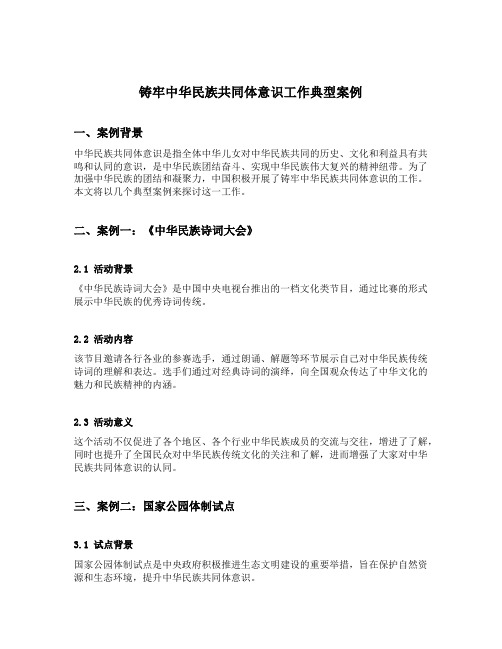 铸牢中华民族共同体意识工作典型案例