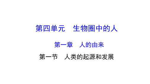 4.1.1 人类的起源和发展-2020-2021学年七年级下册生物精美课件(人教版)