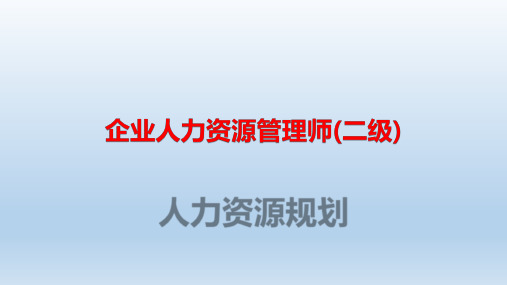 二级人力资源规划-企业组织结构的变革课件