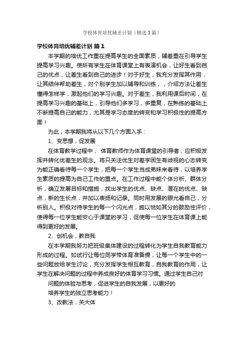 学校体育培优辅差计划（精选3篇）