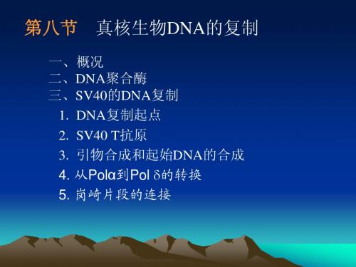 第五章  DNA的复制3