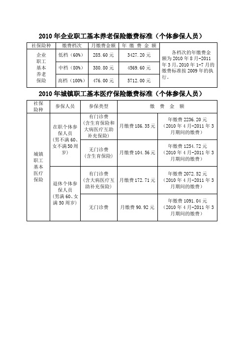 2010年个体社保缴费标准