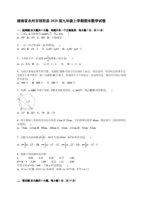 湖南省永州市祁阳县2020年新人教版九年级上期末数学试卷含答案解析