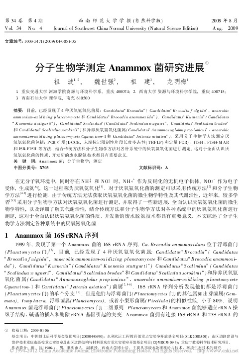 分子生物学测定Anammox菌研究进展_祖波