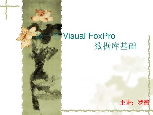 第一章 VF数据库基础