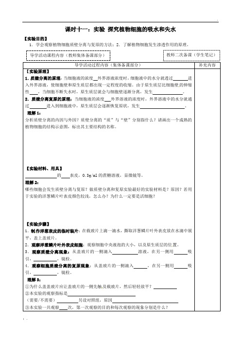 课时11  质壁分离及复原实验