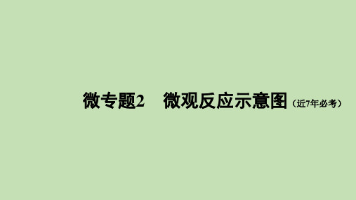 2022年中考化学总复习 微专题2 微观反应示意图