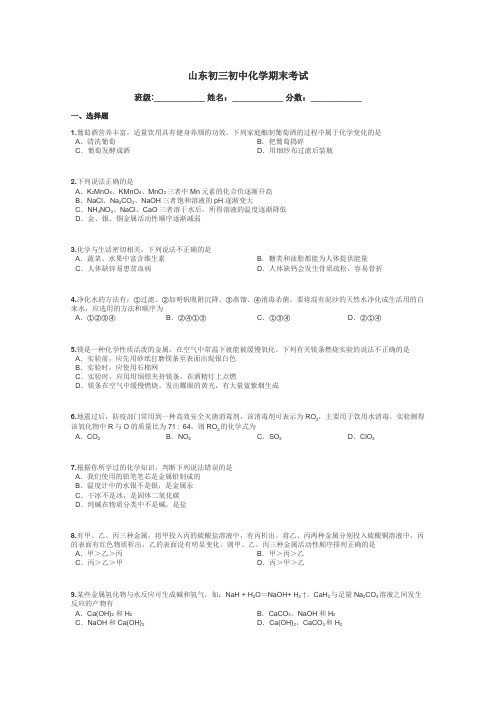 山东初三初中化学期末考试带答案解析
