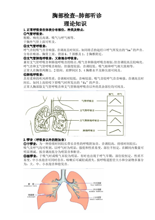 胸部检查--肺部听诊操作考核表