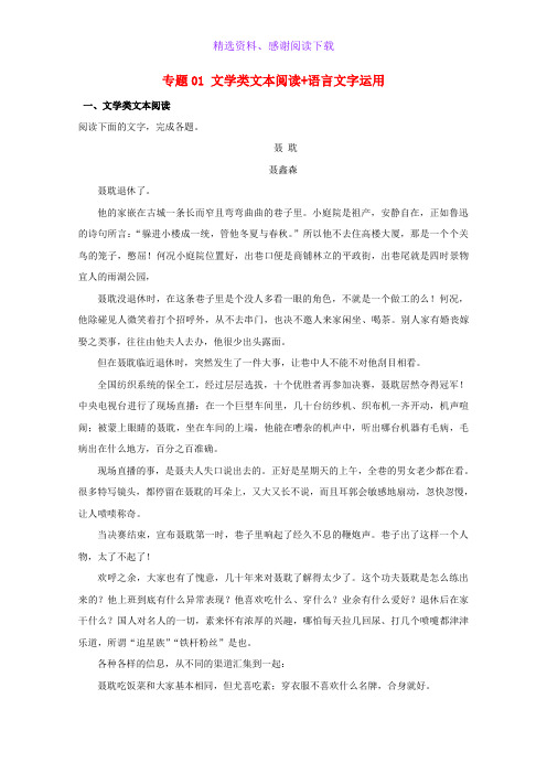 高考语文高频考点穿透卷专题01文学类文本阅读+语言文字运用含解析