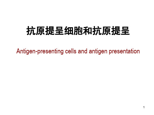 抗原提呈细胞和抗原提呈PPT演示幻灯片