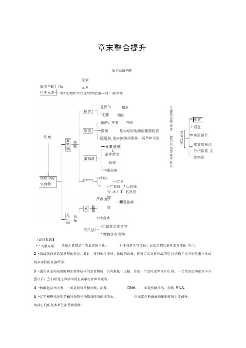 2018版高中生物苏教版必修一学案：第二章章末整合提升