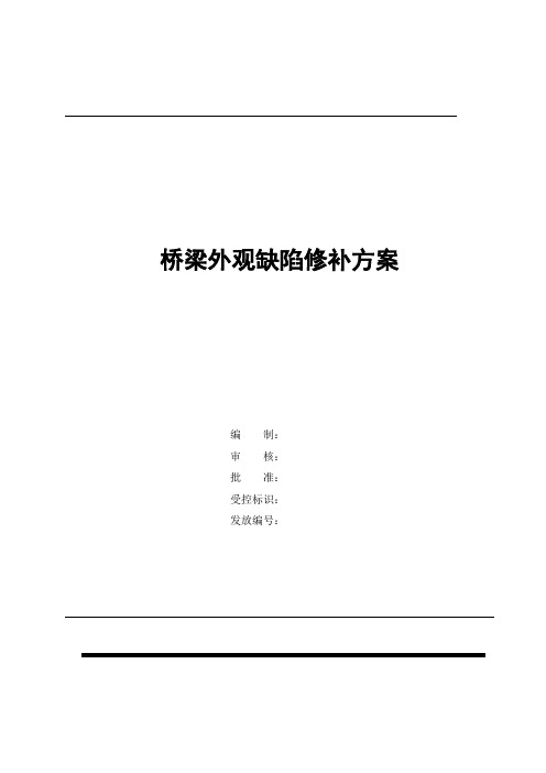 桥梁外观缺陷修补方案