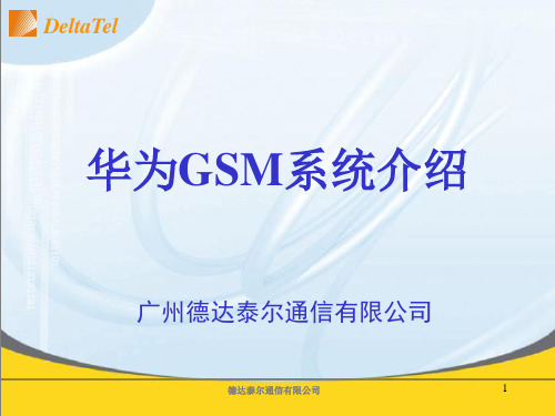 华为GSM系统介绍(免费)