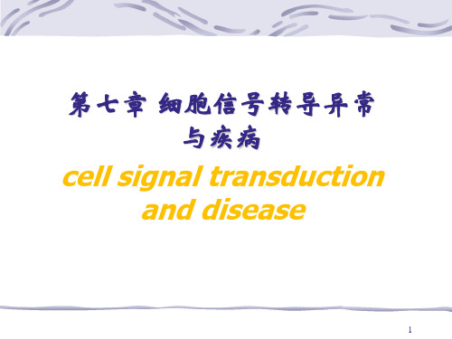 核受体介导的信号转导通路PPT课件