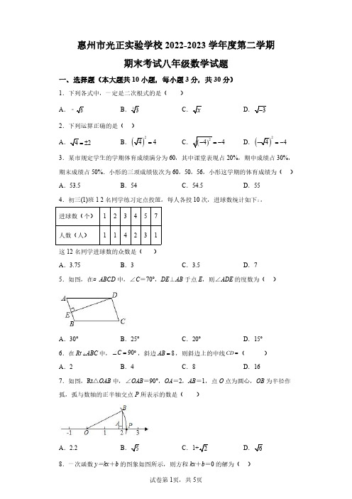 广东省惠州市光正实验学校2022-2023学年八年级下学期期末数学试题