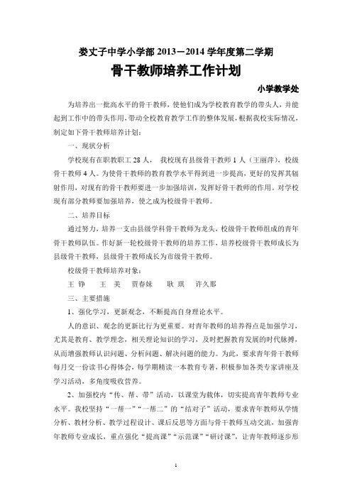 骨干教师培养工作计划