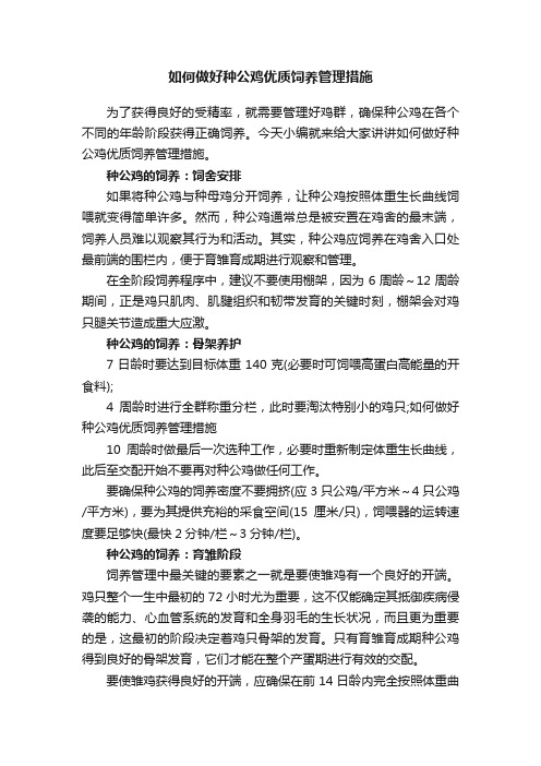 如何做好种公鸡优质饲养管理措施