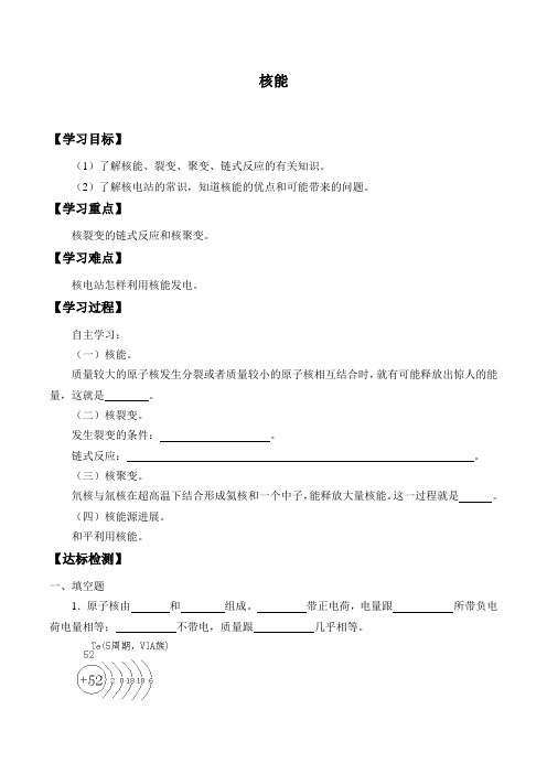 鲁教版(五四制)物理九年级下册- 20.2 核能 -学案设计(无答案)