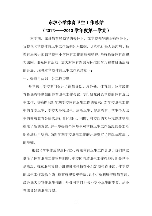 中心校体育卫生工作总结
