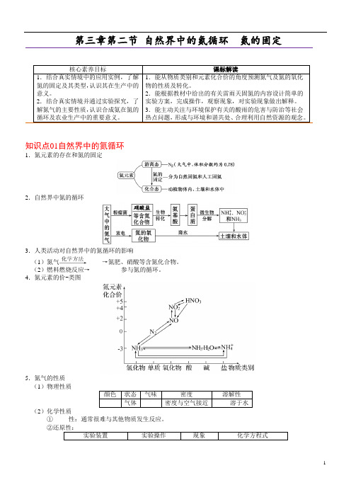 自然界中的氮循环 氮的固定-2022-2023学年高一化学同步精品讲义(鲁科2019必修第一册 )