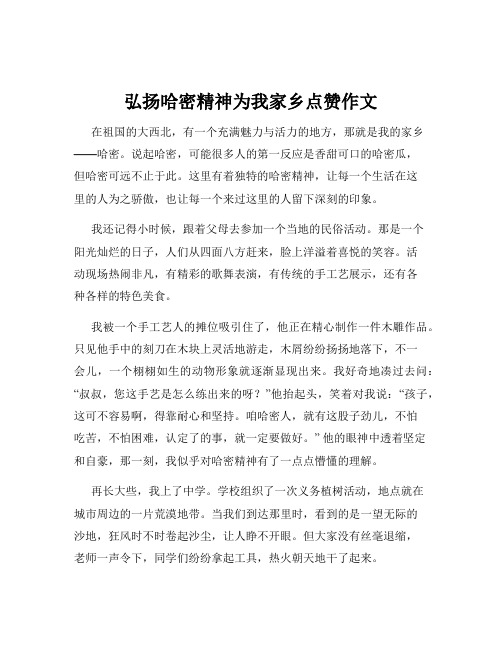 弘扬哈密精神为我家乡点赞作文