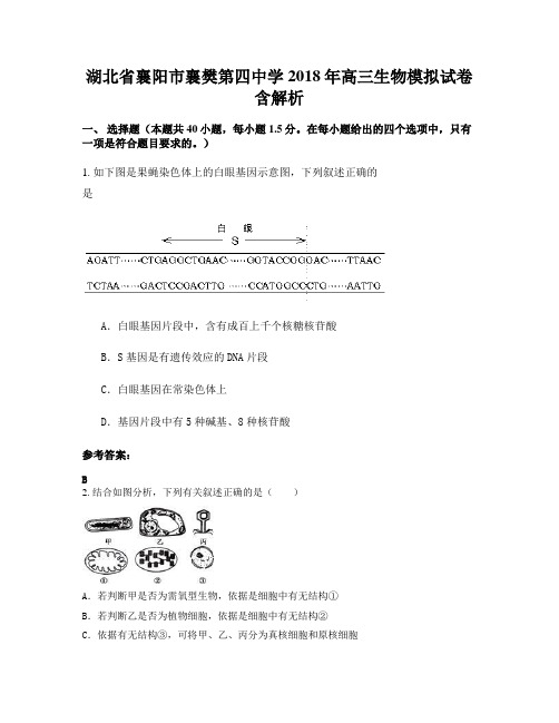 湖北省襄阳市襄樊第四中学2018年高三生物模拟试卷含解析