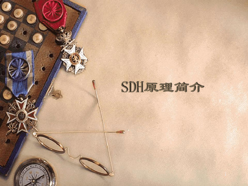 sdh原理简介资料