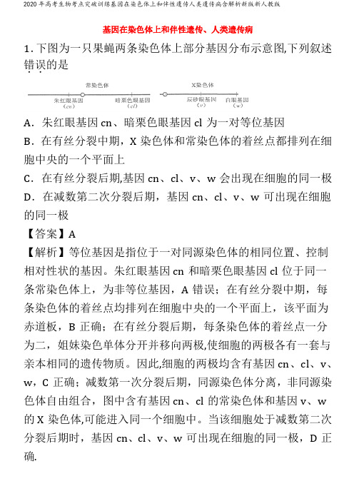 高考生物考点突破训练基因在染色体上和伴性遗传人类遗传病含解析新版新人教版