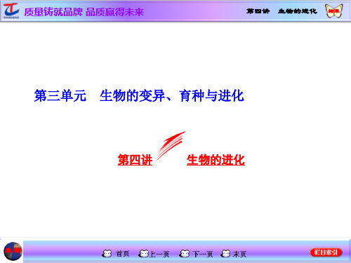 三维设计高三生物一轮复习课件必修 第单元 第四讲 生物的进化