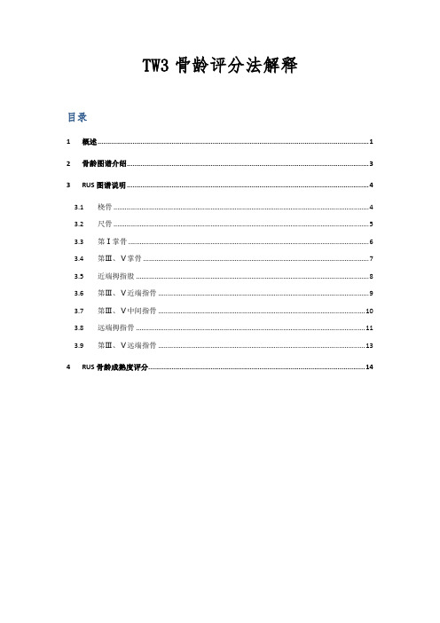 TW3骨龄评分法解释